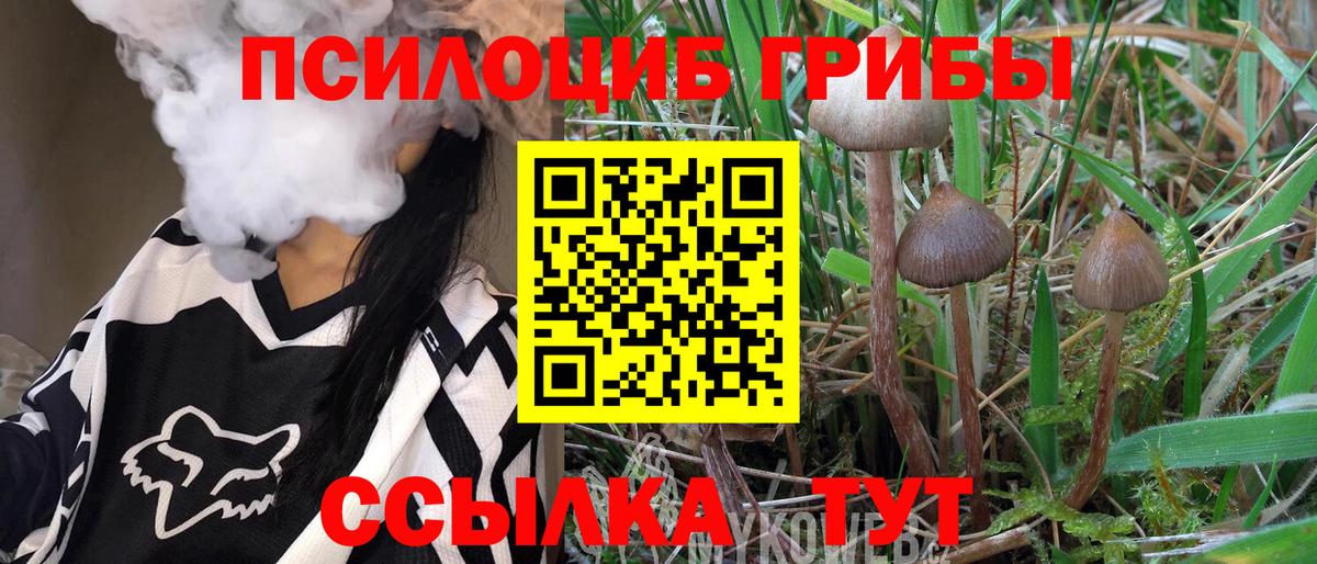 Псилоцибиновые грибы Psilocybe  Псилоцибиновые грибы Psilocybine cubensis  Вход с VPN  сколько стоит  Родники 